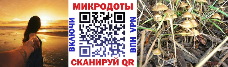 наркота  Пудож  Галлюциногенные грибы GOLDEN TEACHER 